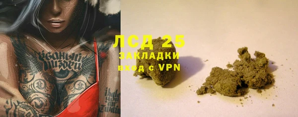 тгк Дмитриев
