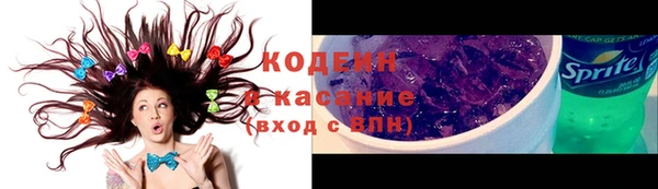 тгк Дмитриев