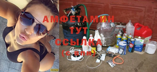 тгк Дмитриев