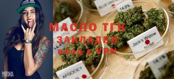 тгк Дмитриев
