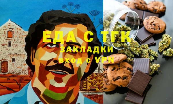 тгк Дмитриев