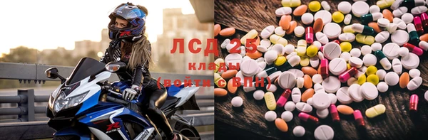 тгк Дмитриев