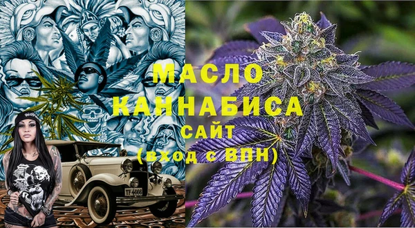 тгк Дмитриев