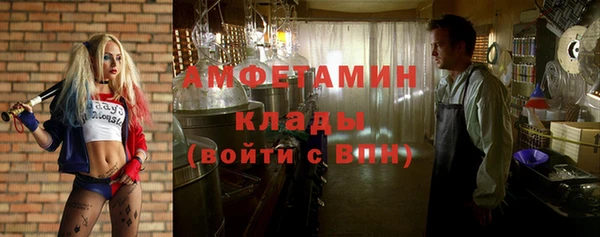 тгк Дмитриев