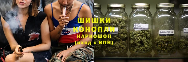 тгк Дмитриев