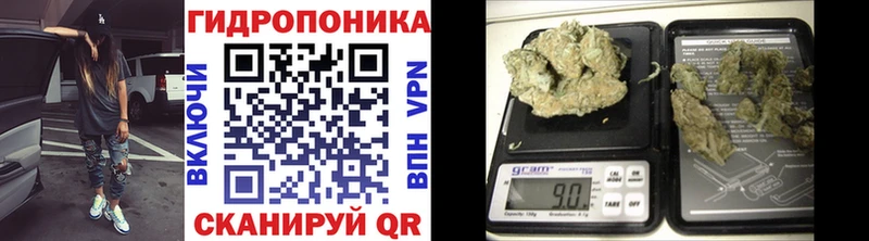 Канабис гибрид  Купить закладки  Кстово 